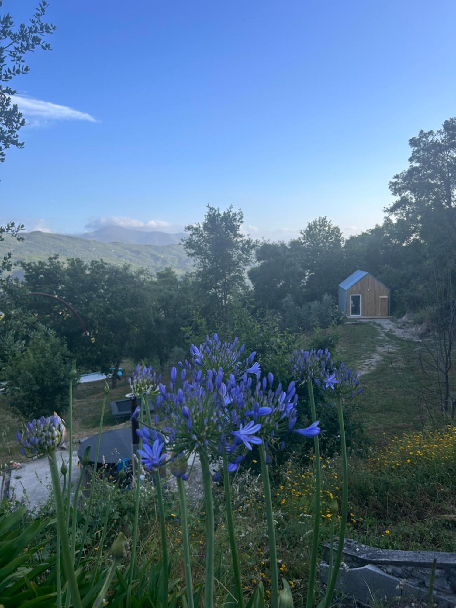 Villa Monkey Tiny Barnhouse With Amazing Views! à Folhadosa Extérieur photo