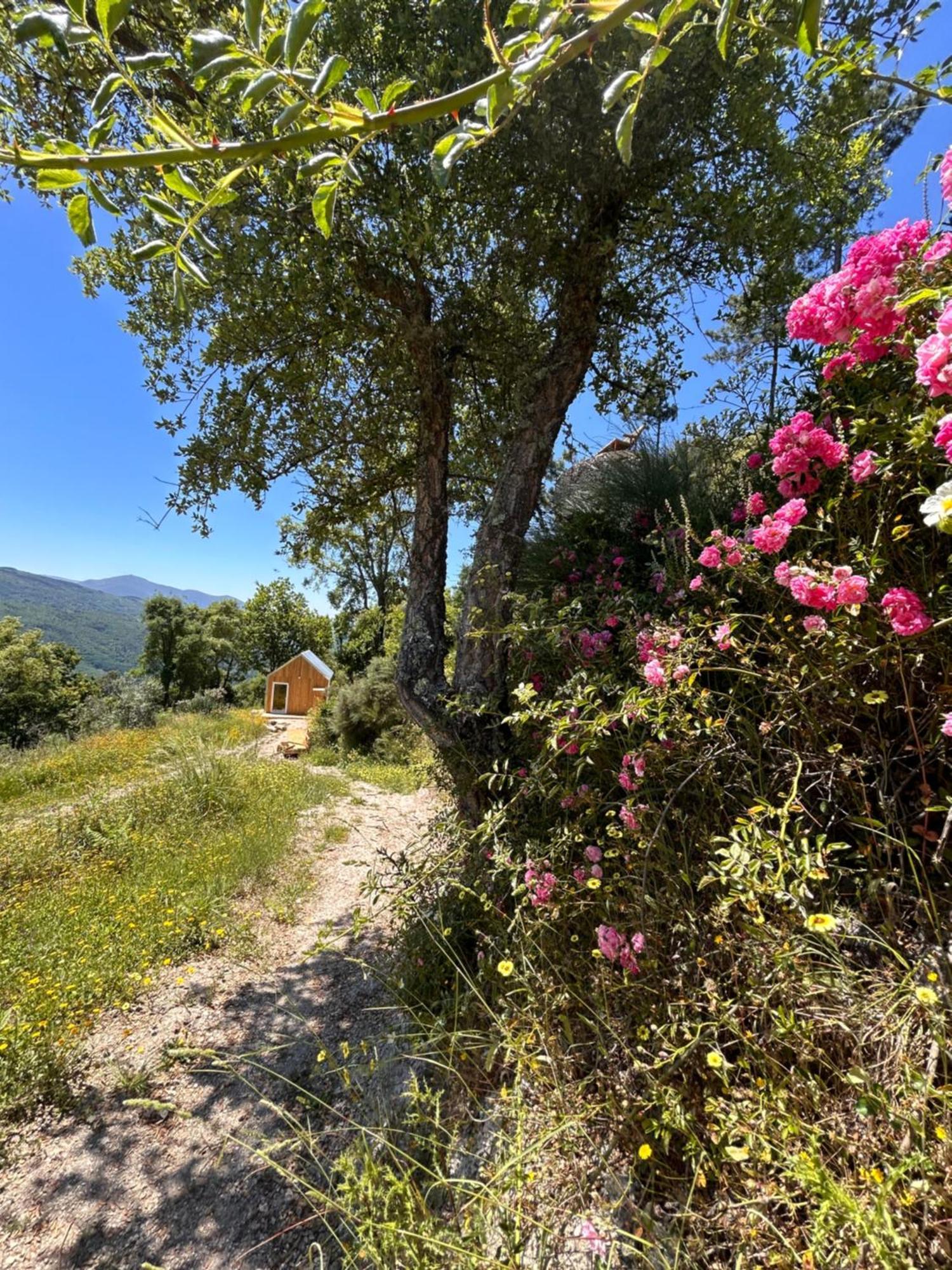 Villa Monkey Tiny Barnhouse With Amazing Views! à Folhadosa Extérieur photo