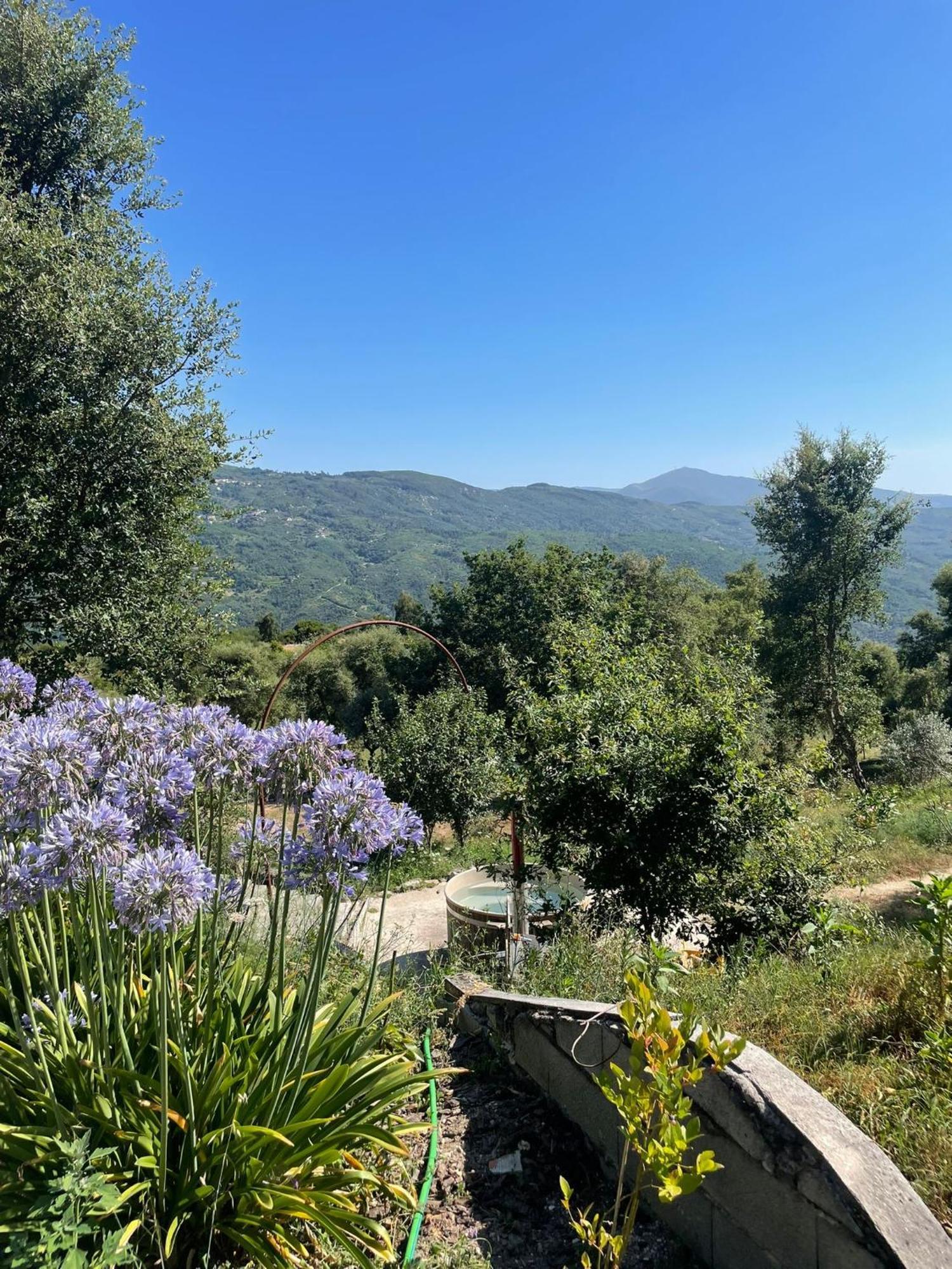 Villa Monkey Tiny Barnhouse With Amazing Views! à Folhadosa Extérieur photo