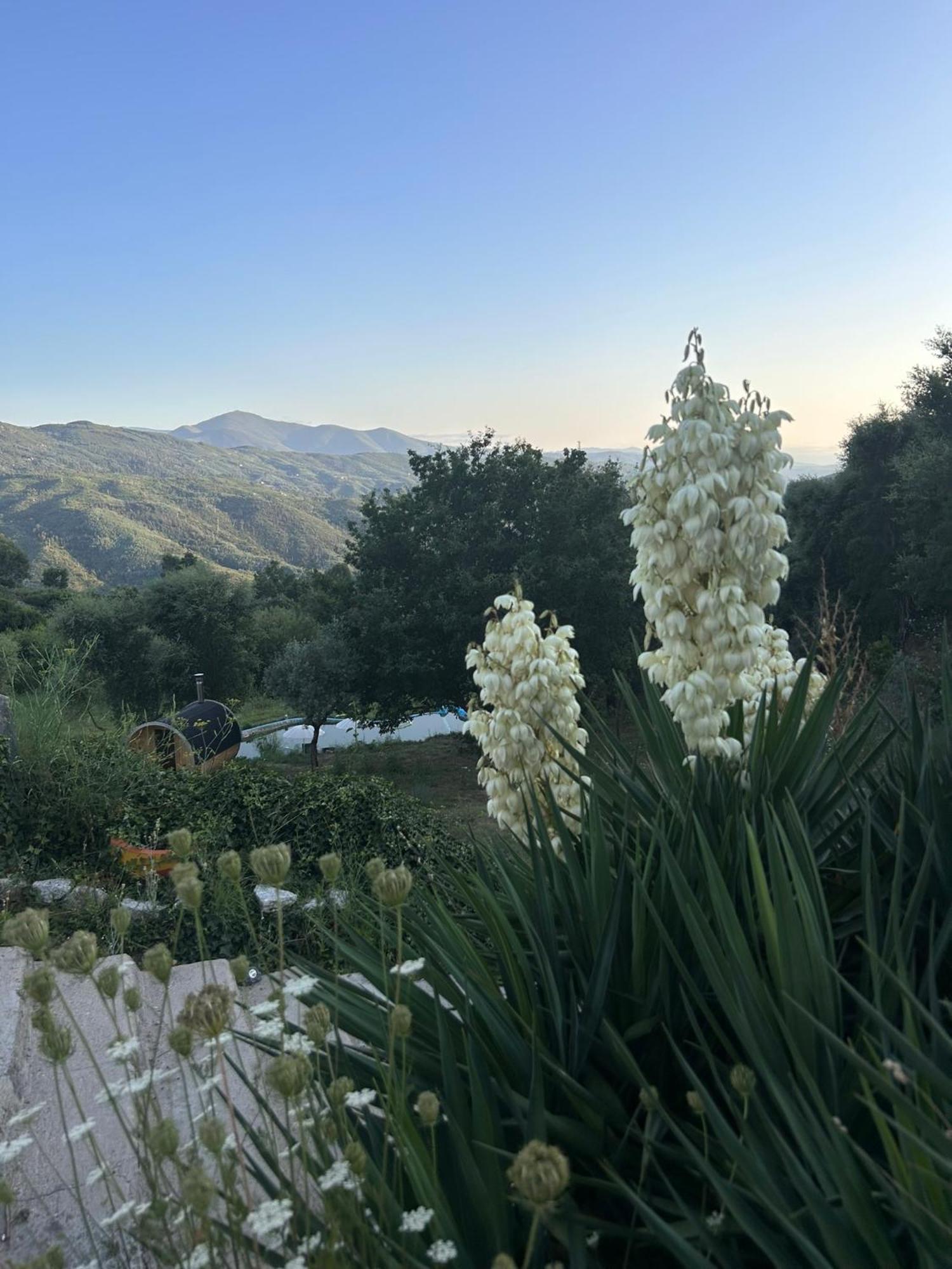 Villa Monkey Tiny Barnhouse With Amazing Views! à Folhadosa Extérieur photo