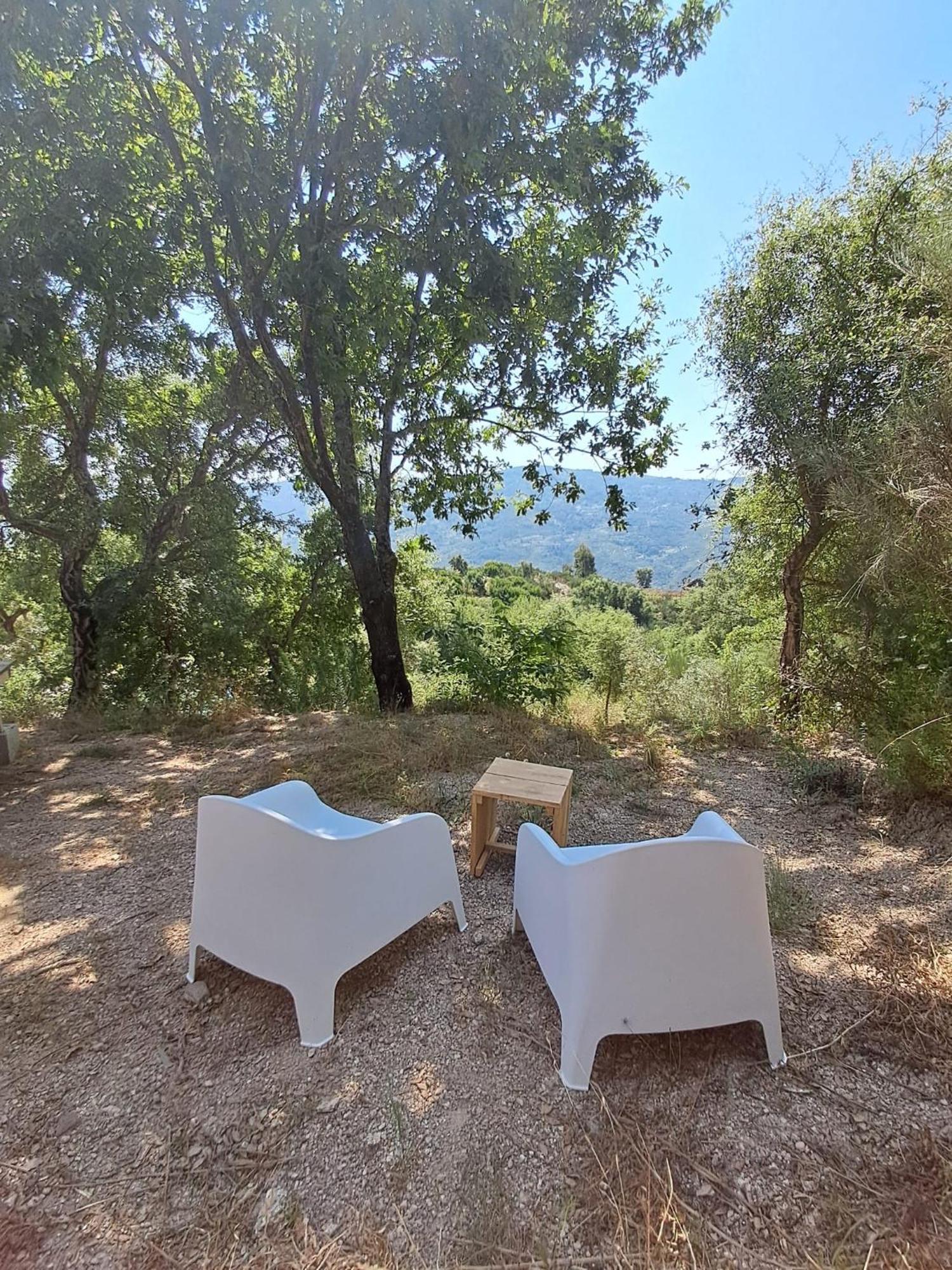 Villa Monkey Tiny Barnhouse With Amazing Views! à Folhadosa Extérieur photo