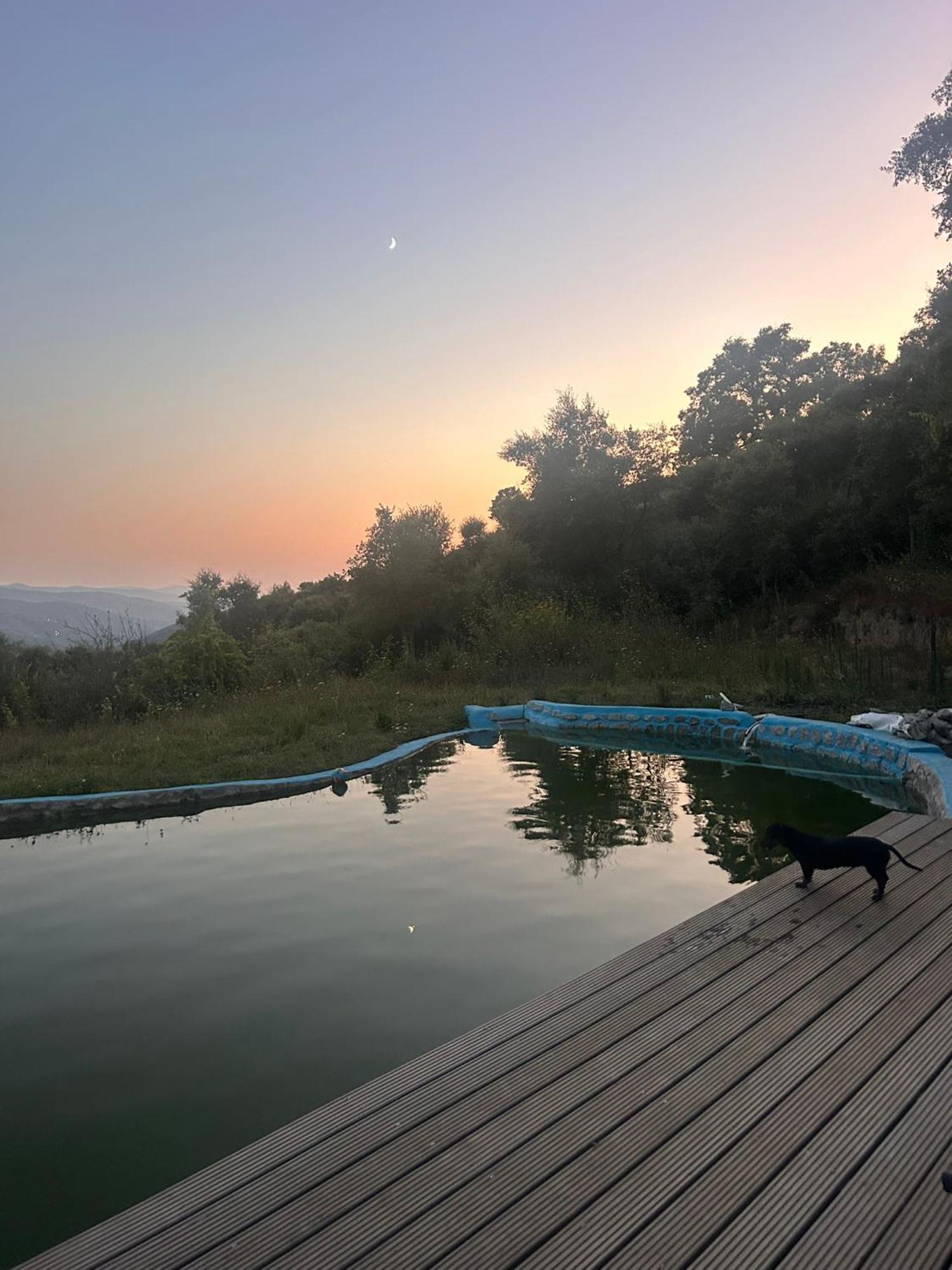 Villa Monkey Tiny Barnhouse With Amazing Views! à Folhadosa Extérieur photo